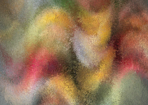 closeup-_0023_chinchilla